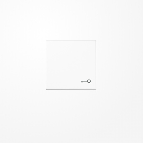 Jung A590TWW Wippe, Symbol Tür, Duroplast, Serie A, alpinweiß