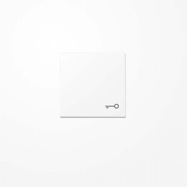 Jung A590TWWM Wippe, Symbol Tür, Duroplast lackiert, Serie A, schneeweiß matt