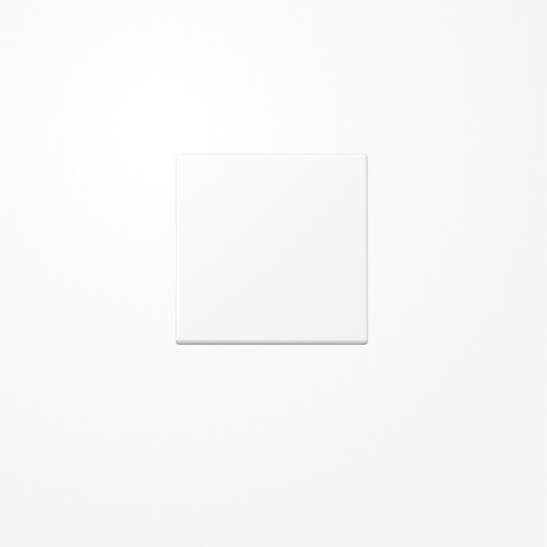 Jung A594-0PLWWM Blind-Abdeckung (gerastet) Zentralplatte, Thermoplast lackiert, Serie A, schneeweiß matt