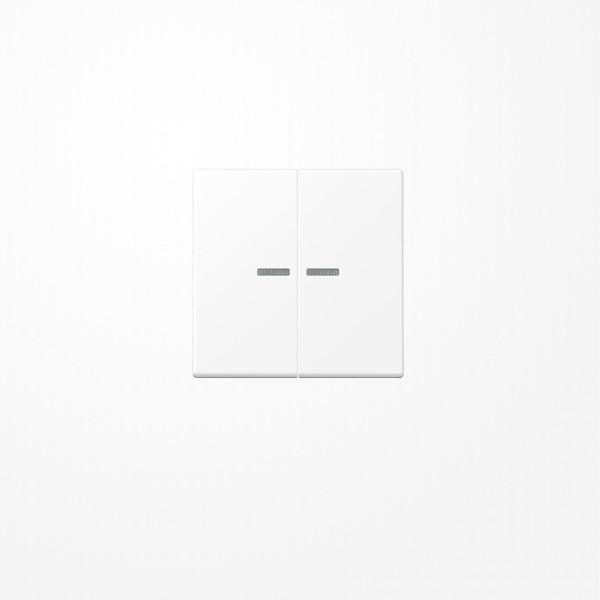 Jung A595KO5WWM Wippe mit Lichtleiter, Duroplast lackiert, Serie A, schneeweiß matt