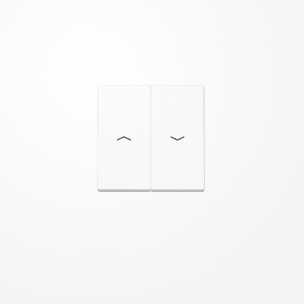 Jung A595PWW Wippe, mit Pfeilsymbolen, Duroplast, Serie A, alpinweiß