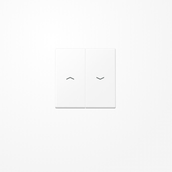 Jung A595PWWM Wippe, mit Pfeilsymbolen, Duroplast lackiert, Serie A, schneeweiß matt