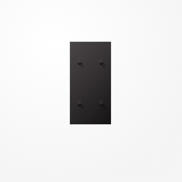 Jung AL12-25DK01 Abdeckung mit Kipphebel Kegel, 2x2 Kipphebel, senkrecht, Serie LS 1912, dark (lackiertes Aluminium)