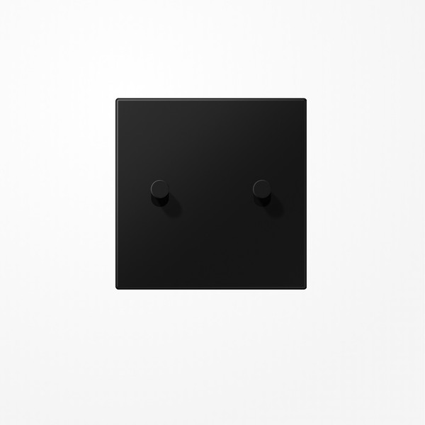 Jung AL12-5SWMK08 Abdeckung mit Kipphebel Kegel, 2 Kipphebel, Serie LS 1912, graphitschwarz matt (lackiertes Aluminium)