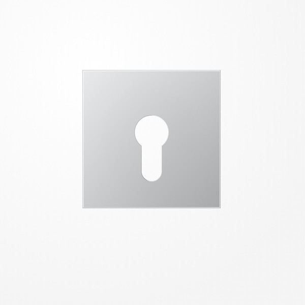 Jung AL2925 Abdeckung für Schlüsselschalter ohne Demontageschutz, Serie LS, Aluminium