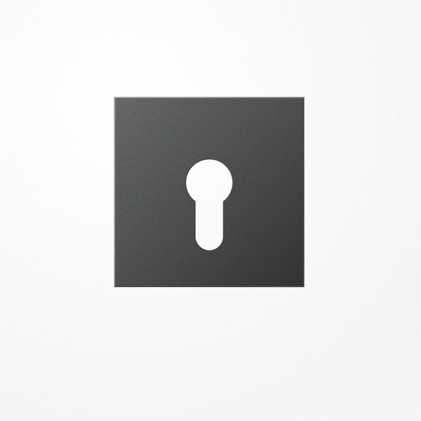 Jung AL2925AN Abdeckung für Schlüsselschalter ohne Demontageschutz, Aluminium lackiert, Serie LS, anthrazit