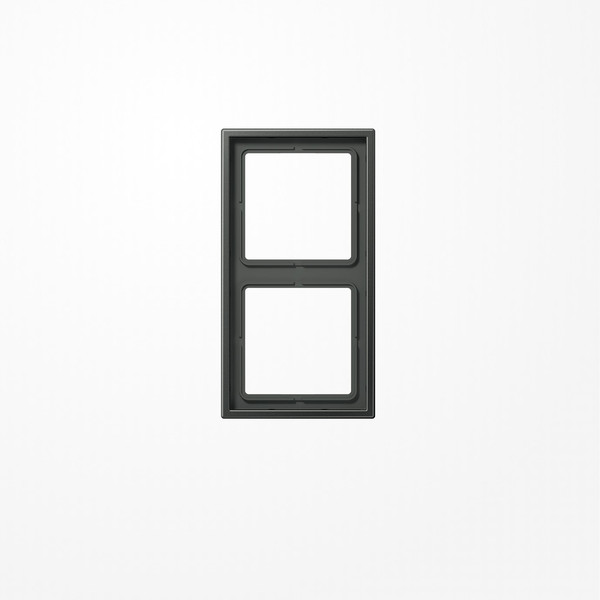Jung AL2982AN Rahmen 2fach, senkrechte und waagerechte Montage, Aluminium lackiert, LS 990, anthrazit (lackiertes Aluminium)