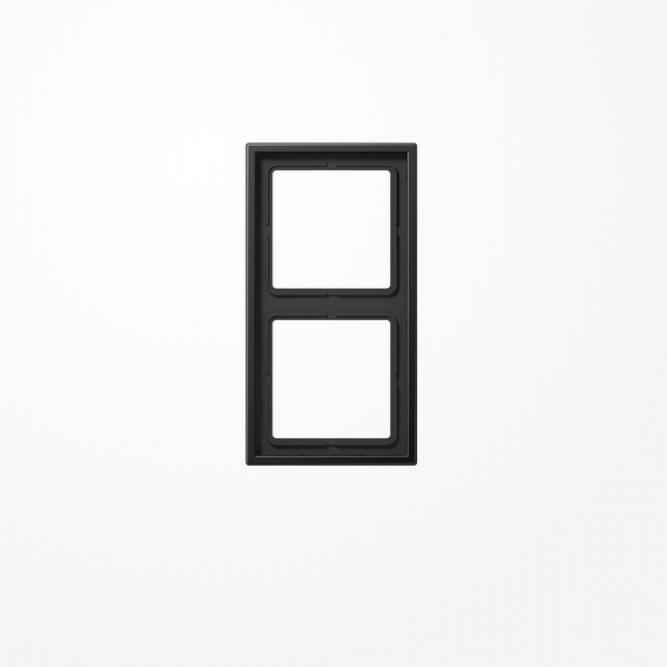 Jung AL2982D Rahmen 2fach, senkrechte und waagerechte Montage, Aluminium lackiert, LS 990, dark (lackiertes Aluminium)