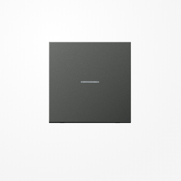 Jung AL2990KO5AN Wippe mit Lichtleiter, Aluminium lackiert, Serie LS, anthrazit