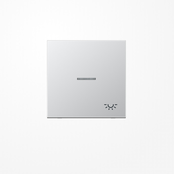 Jung AL2990KO5L Wippe mit Lichtleiter, Symbol Licht, Serie LS, Aluminium