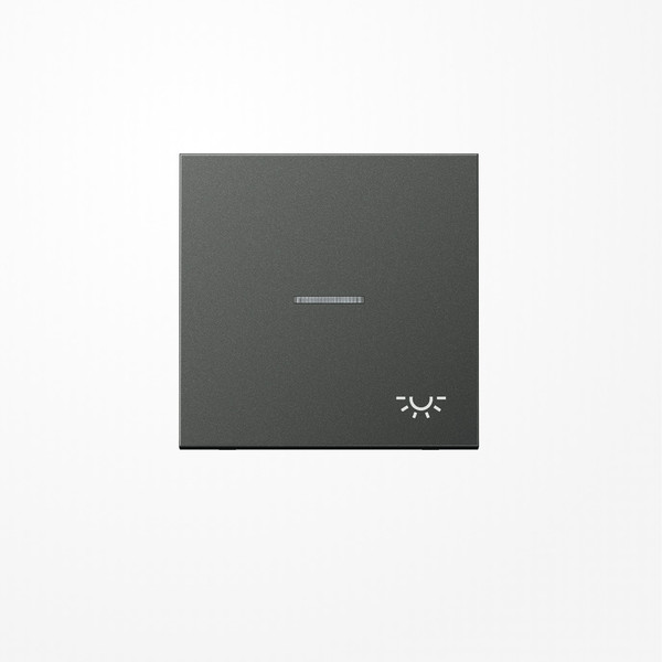 Jung AL2990KO5LAN Wippe mit Lichtleiter, Symbol Licht, Aluminium lackiert, Serie LS, anthrazit
