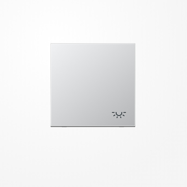 Jung AL2990L Wippe, Symbol Licht, Serie LS, Aluminium