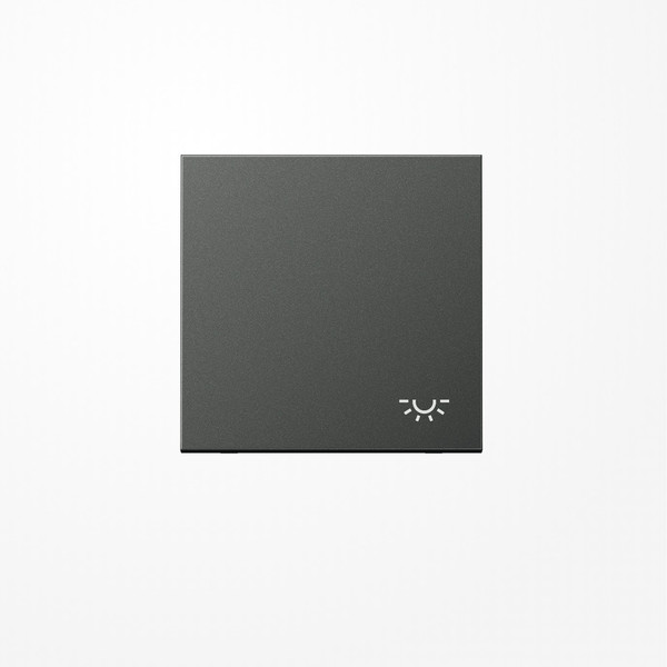 Jung AL2990LAN Wippe, Symbol Licht, Aluminium lackiert, Serie LS, anthrazit