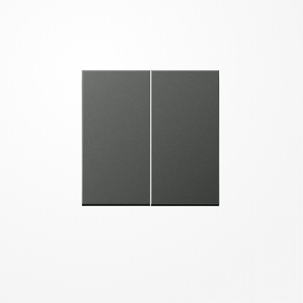 Jung AL2995AN Wippe, Aluminium lackiert, Serie LS, anthrazit