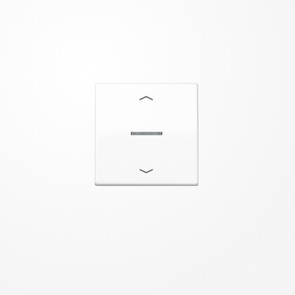 Jung AS101KO5PWW Wippe mit Lichtleiter, mit Pfeilsymbolen für Taster 1fach, Duroplast, F10, Serie AS, alpinweiß