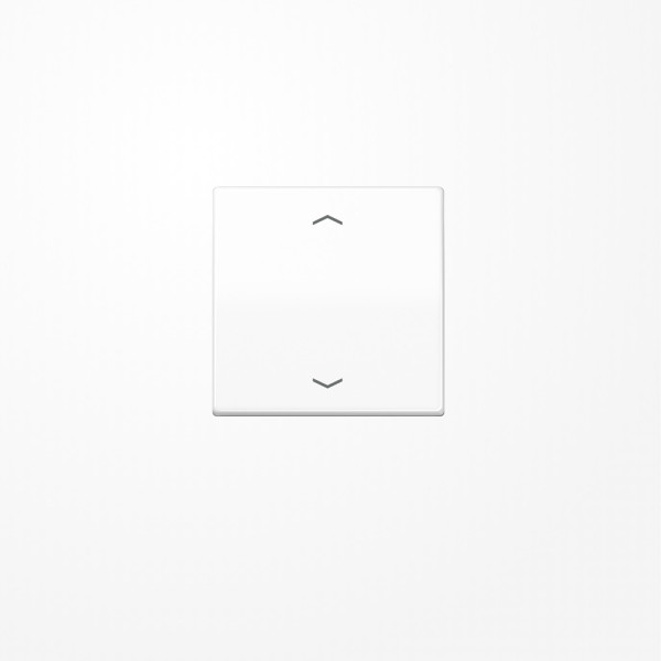 Jung AS101PWW Wippe, mit Pfeilsymbolen für Taster 1fach, Duroplast, F10, Serie AS, alpinweiß