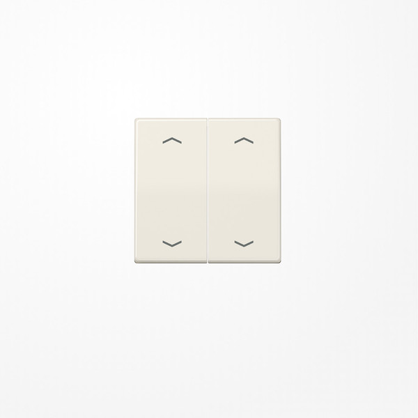 Jung AS102P Wippe, mit Pfeilsymbolen für Taster 2fach, Duroplast, F10, Serie AS, weiß