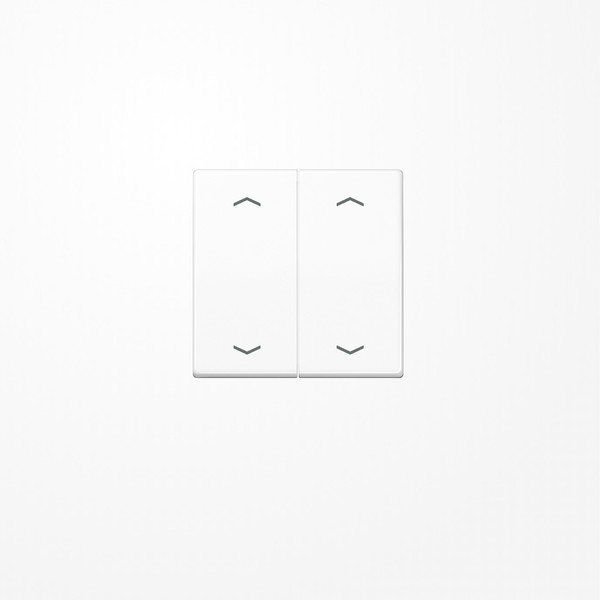 Jung AS102PWW Wippe, mit Pfeilsymbolen für Taster 2fach, Duroplast, F10, Serie AS, alpinweiß