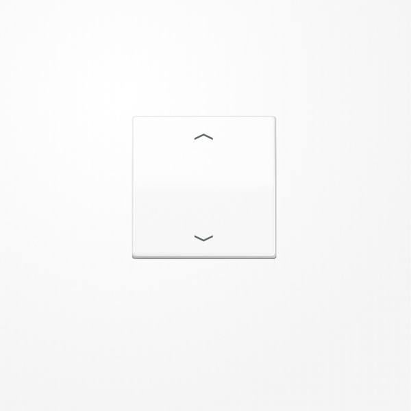 Jung AS1700PWW LB-Management Taster 1fach, mit Pfeilsymbolen, Duroplast, Serie AS, alpinweiß