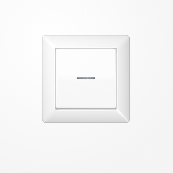 Jung AS590KO5WW Wippe mit Rahmen mit Lichtleiter, Duroplast, Serie AS, alpinweiß