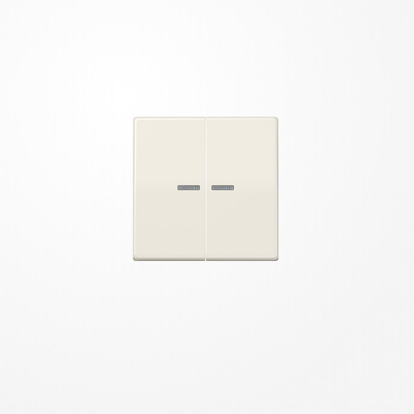 Jung AS591-5KO5 Wippe mit Lichtleiter, Duroplast, Serie AS, weiß