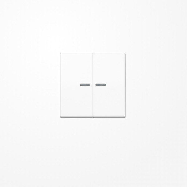 Jung AS591-5KO5BFWW Wippe mit Lichtleiter, Thermoplast, Serie AS, alpinweiß