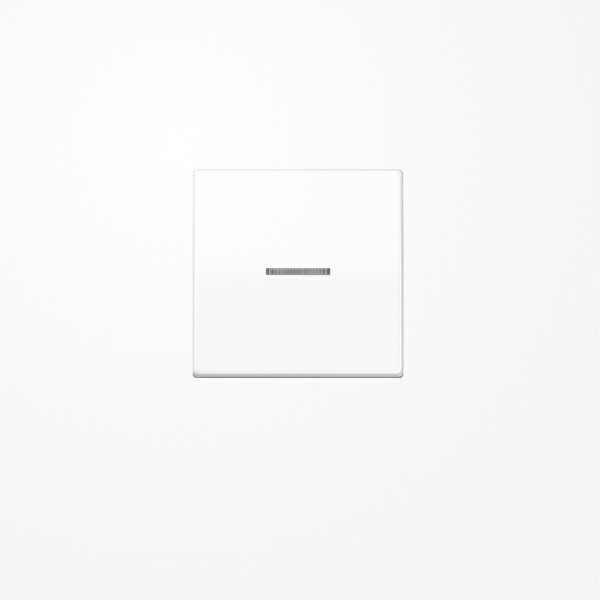 Jung AS591KO5BFWW Wippe mit Lichtleiter, Thermoplast, Serie AS, alpinweiß