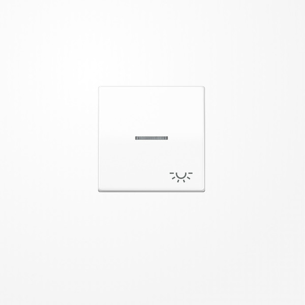 Jung AS591KO5LWW Wippe mit Lichtleiter, Symbol Licht, Duroplast, Serie AS, alpinweiß