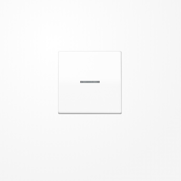 Jung AS591KO5WW Wippe mit Lichtleiter, Duroplast, Serie AS, alpinweiß