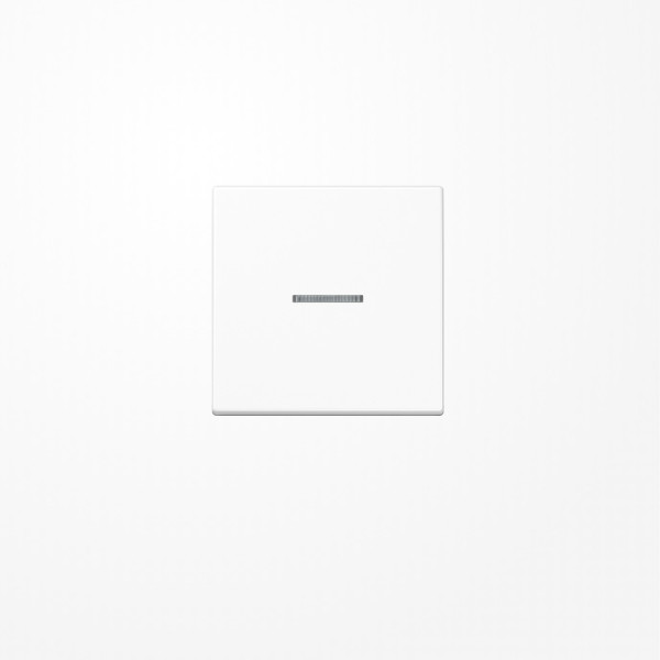 Jung BTA17101WW JUNG HOME Taster 1fach, Duroplast, Serie A, alpinweiß