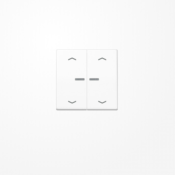 Jung BTA17102PWW JUNG HOME Taster 2fach, mit Pfeilsymbolen, Duroplast, Serie A, alpinweiß