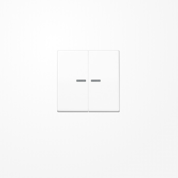 Jung BTA17102WW JUNG HOME Taster 2fach, Duroplast, Serie A, alpinweiß