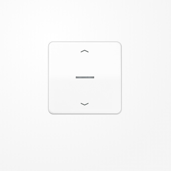 Jung BTCD17101PWW JUNG HOME Taster 1fach, mit Pfeilsymbolen, Duroplast, Serie CD, alpinweiß