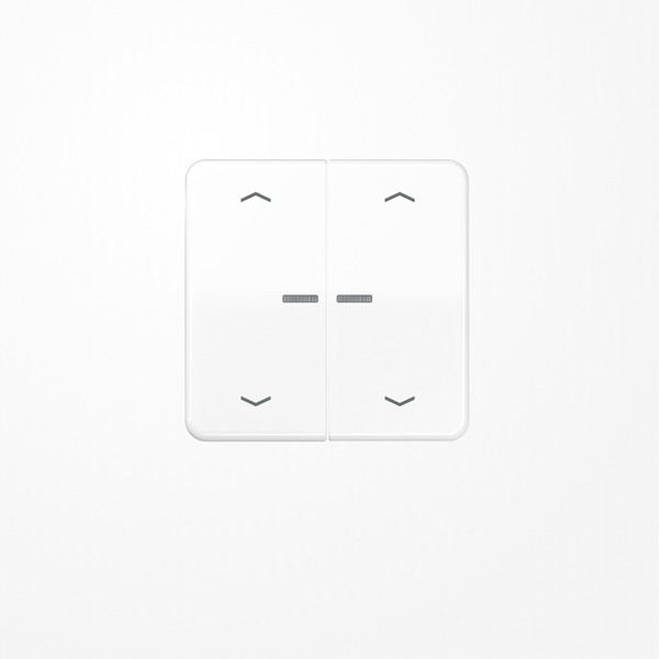 Jung BTCD17102PWW JUNG HOME Taster 2fach, mit Pfeilsymbolen, Duroplast, Serie CD, alpinweiß