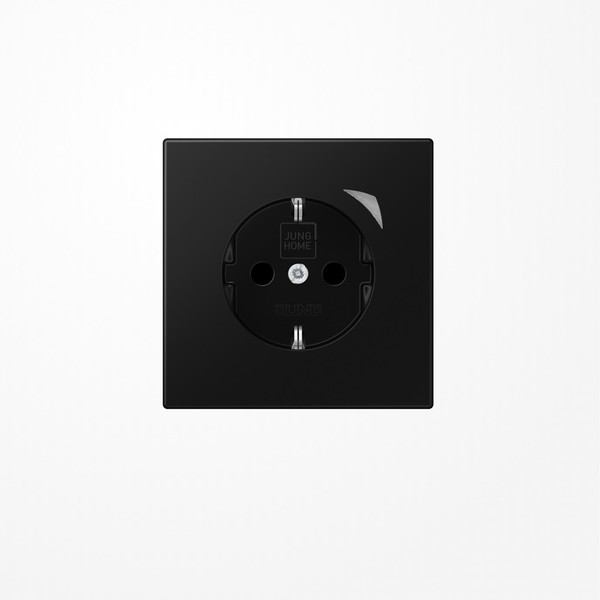 Jung BTLS1521SSWM JUNG HOME SCHUKO Steckdose, 16 A 250 V ~, mit Funktionsanzeige, SAFETY+, Serie LS, graphitschwarz matt
