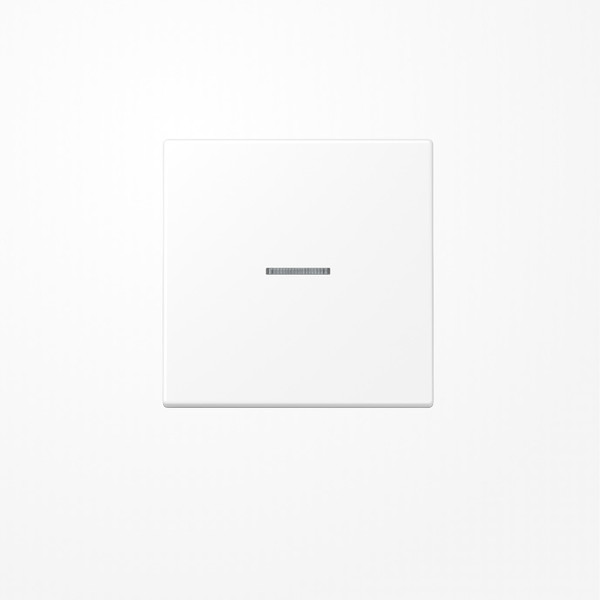 Jung BTLS17101WWM JUNG HOME Taster 1fach, Duroplast lackiert, Serie LS, schneeweiß matt