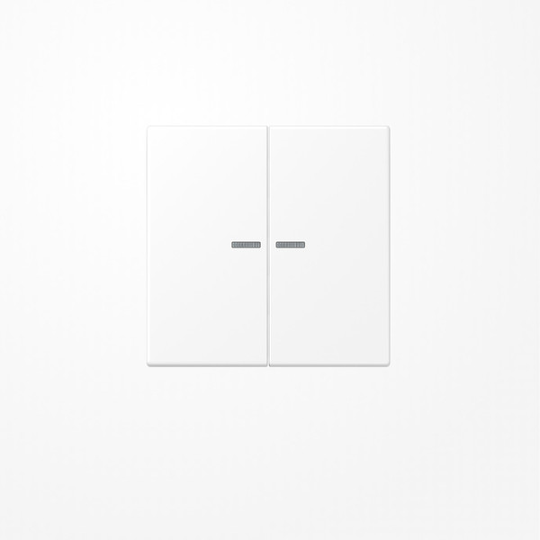 Jung BTLS17102WWM JUNG HOME Taster 2fach, Duroplast lackiert, Serie LS, schneeweiß matt