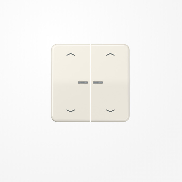 Jung CD102KO5P Wippe mit Lichtleiter, mit Pfeilsymbolen für Taster 2fach, Duroplast, F10, Serie CD, weiß