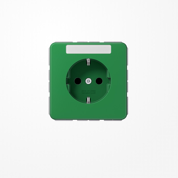 Jung CD1520BFNAGN SCHUKO-Steckdose, 16 A 250 V ~, mit Schriftfeld, Thermoplast, Serie CD, grün (für SV)