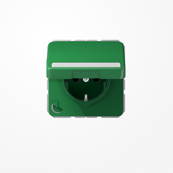 Jung CD1520BFNAKLGN SCHUKO-Steckdose, 16 A 250 V ~, mit Schriftfeld, SAFETY+, Klappdeckel, Thermoplast, Serie CD, grün (für SV)