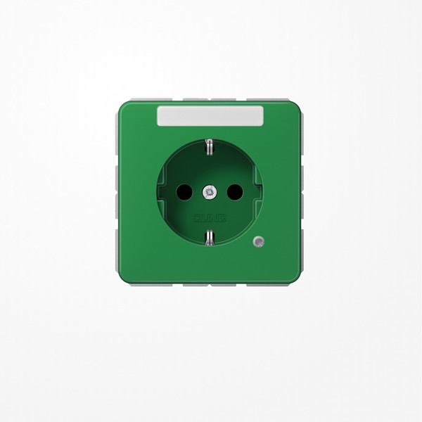 Jung CD1520BFNAKOGN SCHUKO-Steckdose, 16 A 250 V ~, mit Funktionsanzeige, mit Schriftfeld, SAFETY+, Thermoplast, Serie CD, grün (für SV)