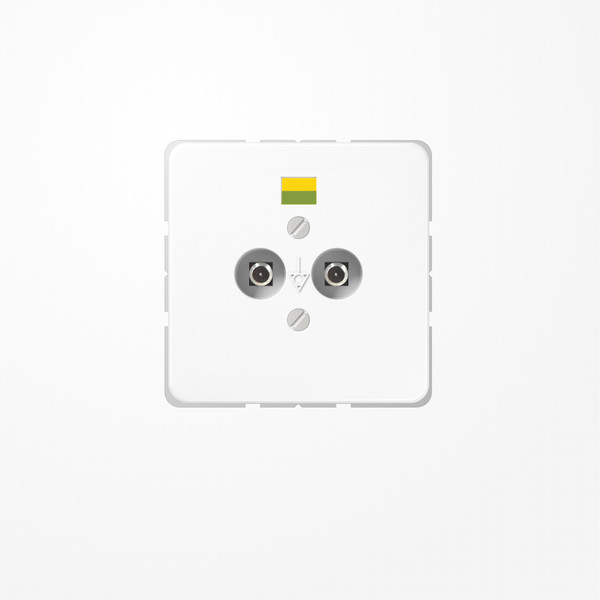 Jung CD565-2WW Potentialausgleich-Steckdose, Duroplast, Serie CD, alpinweiß