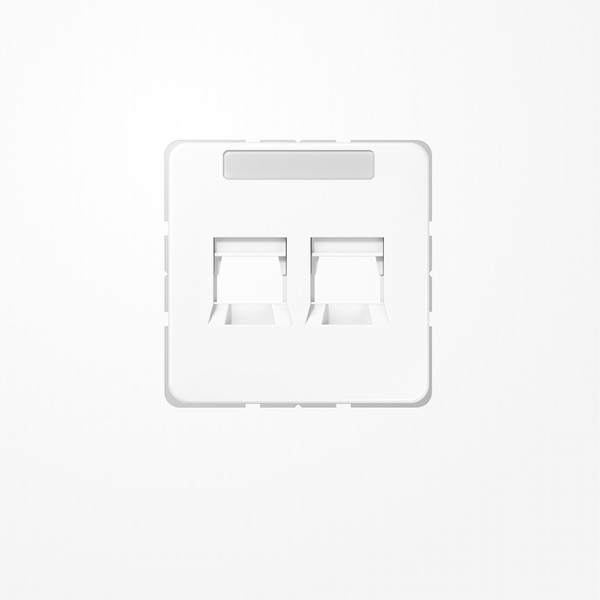 Jung CD569-25WEWW Abdeckung (gerastet) für Modular-Jack-Steckbuchsen, 2fach, EMT, AMP, MTRJ, mit Schriftfeld, Serie CD, alpinweiß