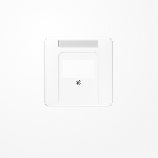 Jung CD569TNAWW Abdeckung für TAE-Anschlussdosen, 1fach, mit Schriftfeld, Serie CD, alpinweiß