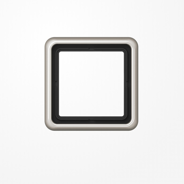 Jung CD581PT Rahmen 1fach, senkrechte und waagerechte Montage, Aluminium eloxiert, CD 500, platin