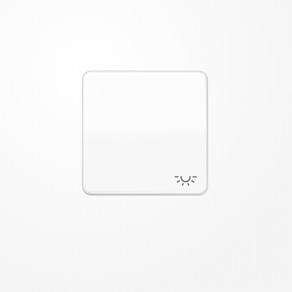 Jung CD590BFLWW Wippe, Symbol Licht, Thermoplast, Serie CD, alpinweiß