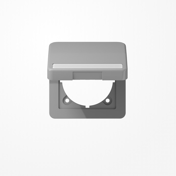 Jung CD590BFNAKLGR Klappdeckel mit Rückstellfeder, mit Schriftfeld, Klappdeckel, Thermoplast, Serie CD, grau