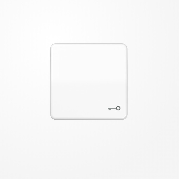 Jung CD590BFTWW Wippe, Symbol Tür, Thermoplast, Serie CD, alpinweiß