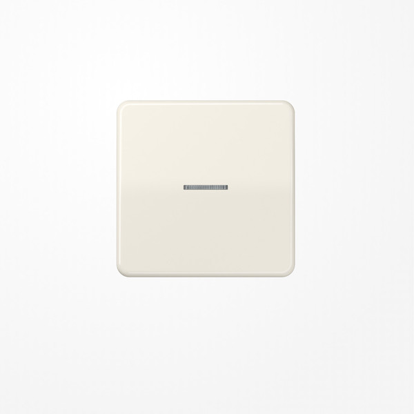 Jung CD590KO5 Wippe mit Lichtleiter, Duroplast, Serie CD, weiß