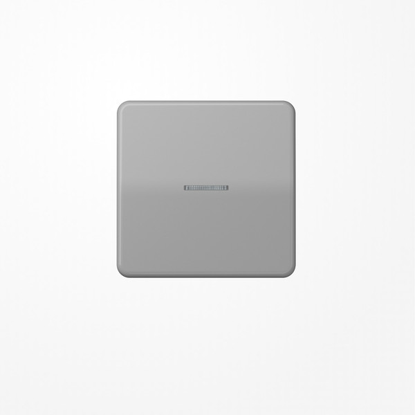 Jung CD590KO5GR Wippe mit Lichtleiter, Duroplast, Serie CD, grau